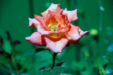 부산역건마 인천립카페 밤전닷컴