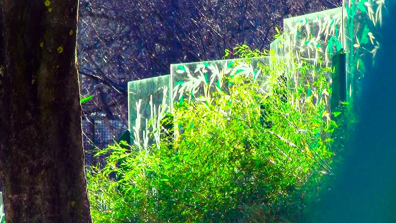 erich's diary - Februar 2016