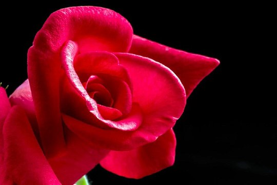 밤전 의정부오피방 내상없는 최고의 밤문화 BamWar007.com