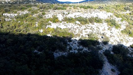 v06- Quelques buissons sur la roche