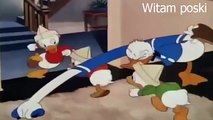 Disney dibujos animados en Español El mejor Pato Donald dibujos 2016