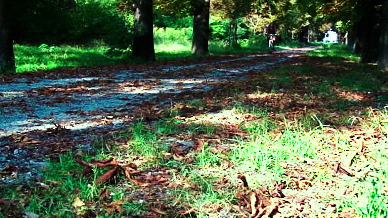 September2016_Mit Quelle abgleichen - Hohe Bitrate_1