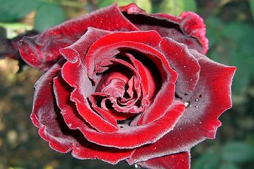 신암안마시술소 서울대휴게텔 밤전닷컴