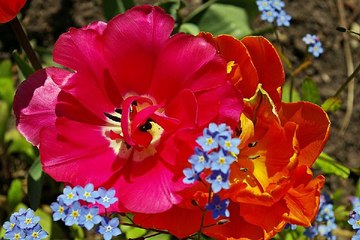 양정오피 송탄안마시술소 밤전닷컴