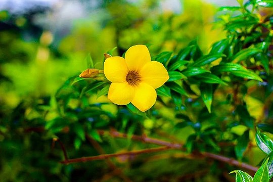 구글검색 밤전 신논현휴게텔 이벤트 강남건마