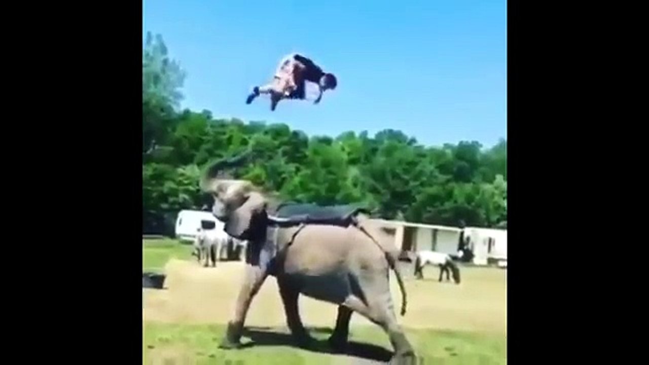 Amazing Student