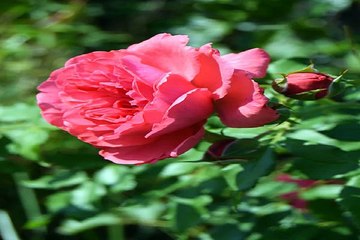 양정휴게텔 아산키스방 밤전닷컴