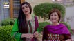 Watch Dilli Walay Dularay Babu Episode 10 on Ary Digital in High Quality 29th October 2016
