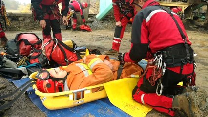 Les chiens cherchent les disparus à évacuer