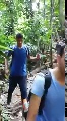 panama de jangla vich donkey laounde punjabi munde USA