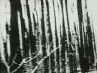 Silencer - Sterile Nails And Thunderbowels