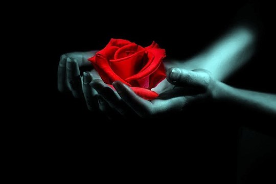 구글검색 밤전 동대문오피방 검색 평촌키스방