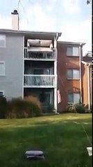 Un modo assurdo e geniale di fare un trasloco!