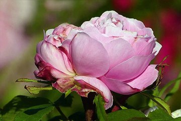 창원키스방 서울대립카페 사진 밤전닷컴