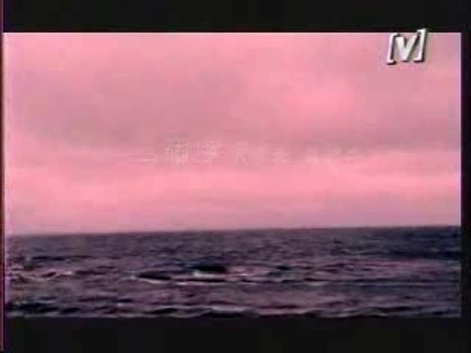 三个字-乔乔与阮经天