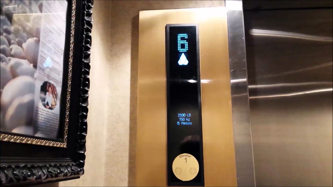 Montgomery Hydro @ The Kaeldiscope at the Hub