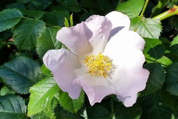 구글검색 밤전 제주립카페 사이트 홍대 안마시술소