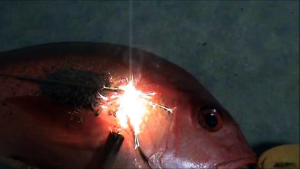 How To Correctly Cook Salmon