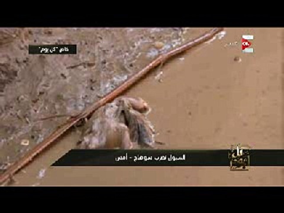 الأسماك تغزو شوارع سوهاج بسبب السيول