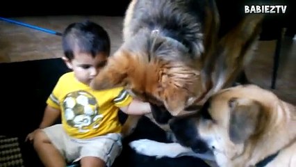 Big Dogs Playing with Babies Compilation 2015 [NEW HD VIDEO] - YouTube