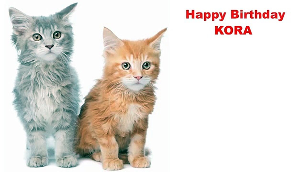 Kora Cats Gatos - Happy Birthday