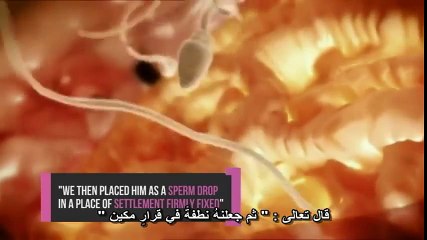 The miracle of creation of human being in Qur'an