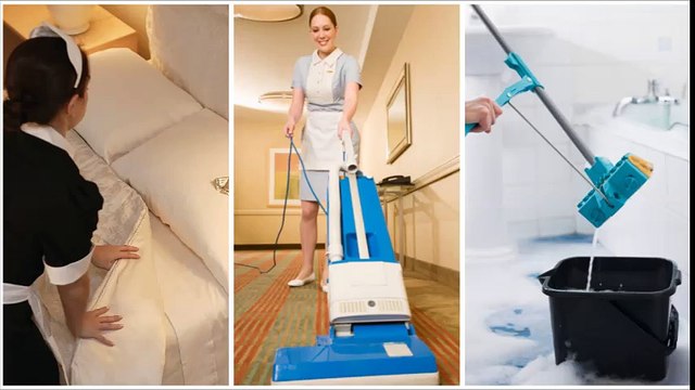 Leticia's Cleaning Service - (727) 202-3186