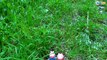 Peppa Pig Cвинка Пеппа Мультик из игрушек. Пеппа и Джордж в зоопарке Серия 38