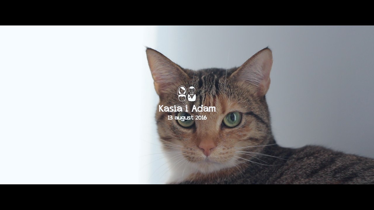 Teledysk ślubny - Kasia i Adam