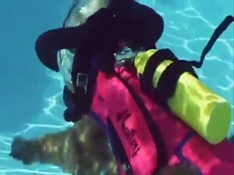 Oui, ce chien fait de la plongée sous-marine... WTF