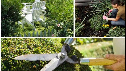 JB Landscaping - (630) 332-8242