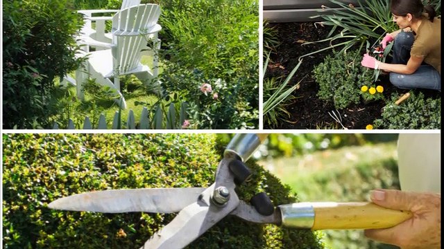 JB Landscaping - (630) 332-8242