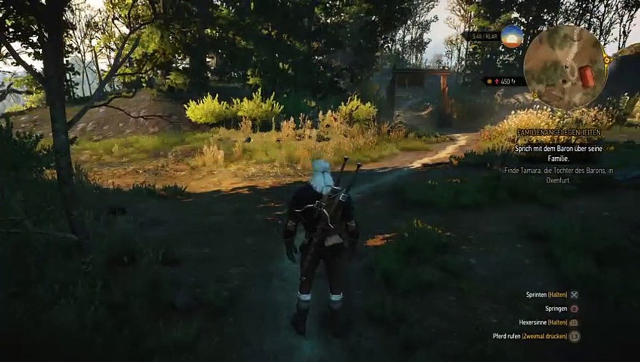 Witcher noob teil 5 (7)