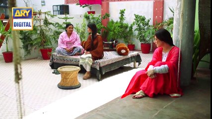 Main Mehru Hoon Episode 52