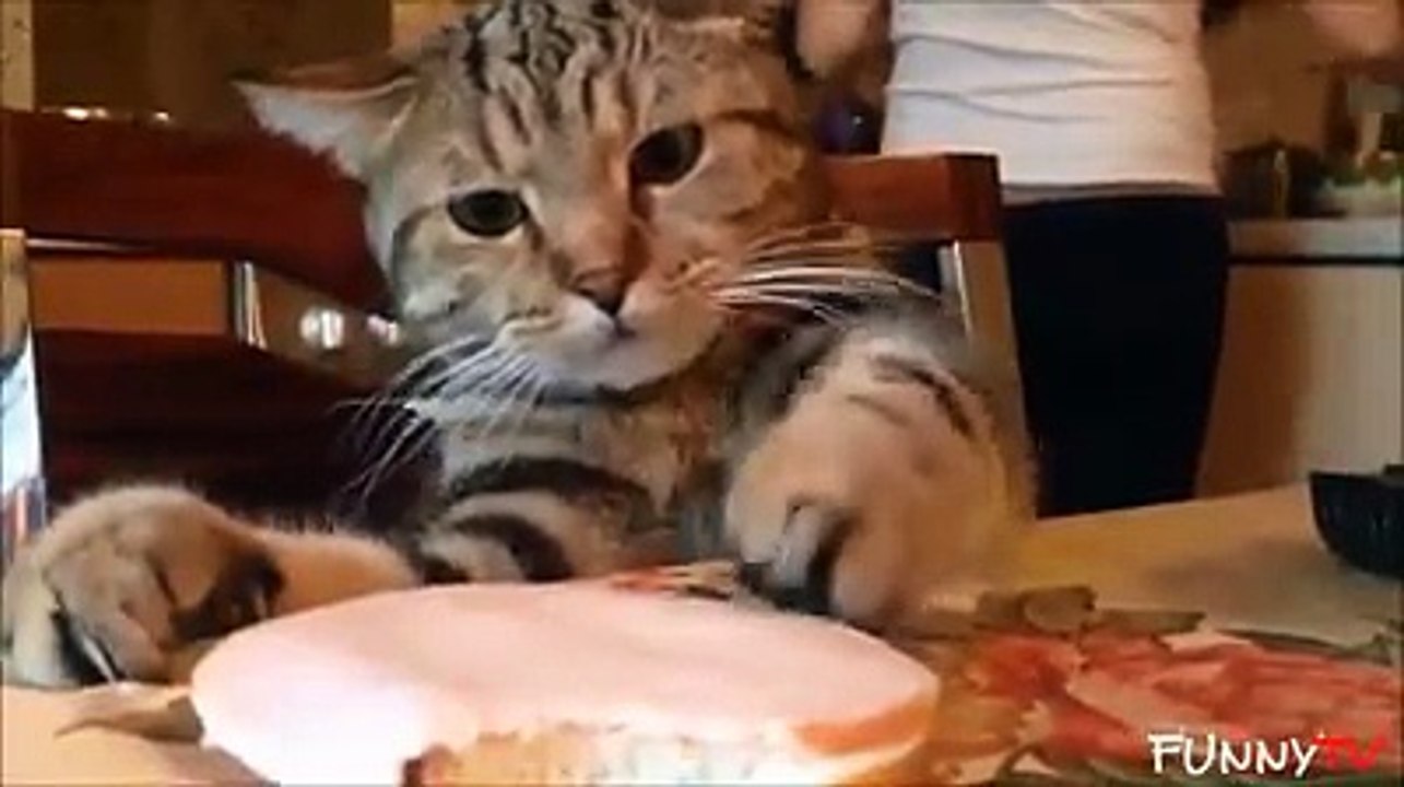 göz hakkı denen birşey var