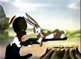 All This and Rabbit Stew, Bugs Bunny cartoon