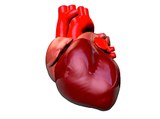 3 Heart Health Myths Debunked
