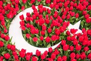 15 Temmuz'u ANLATAN 45 SANİYELİK BİR ANİMASYON,