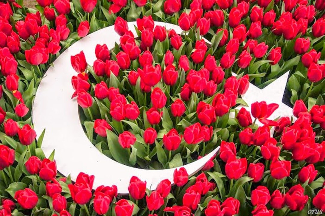 15 Temmuz'u ANLATAN 45 SANİYELİK BİR ANİMASYON,