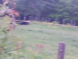 CCE cross milou(suite)