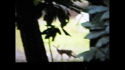 5 Mysterious Chupacabra Sightings Caught On Tape