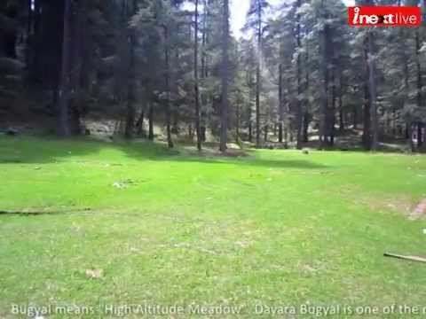 Dayara Bugyal Uttarakhand: Mesmerizing beauty of greenery