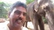 Hathi Mere Sathi: Great effort to save elephants