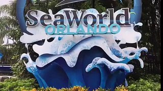Went to sea world in Florida!!