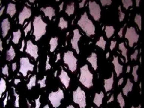 La danse des 7 voiles