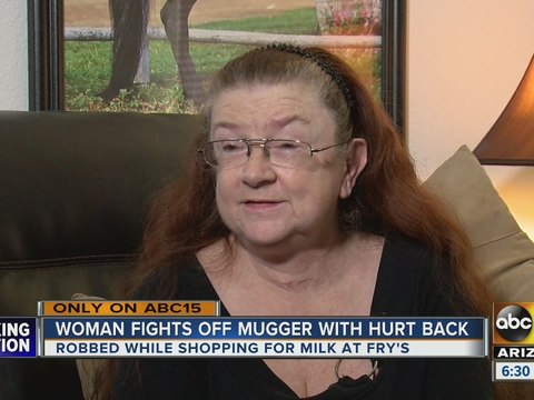 Glendale woman tracks down purse snatcher