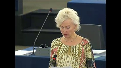 Drug and crime war in the Philippines - European statement before President Duterte