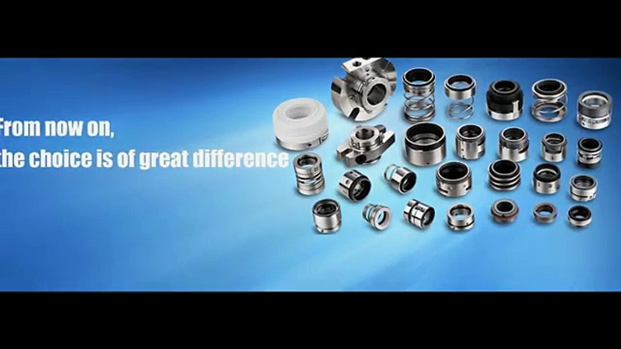 Mechanical Seal