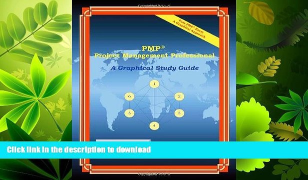 EBOOK ONLINE Pmp Project Management Professional: A Graphical Study Guide GET PDF