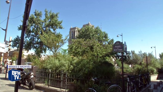 Telegram: de quelles armes disposent les enquêteurs contre la messagerie cryptée?